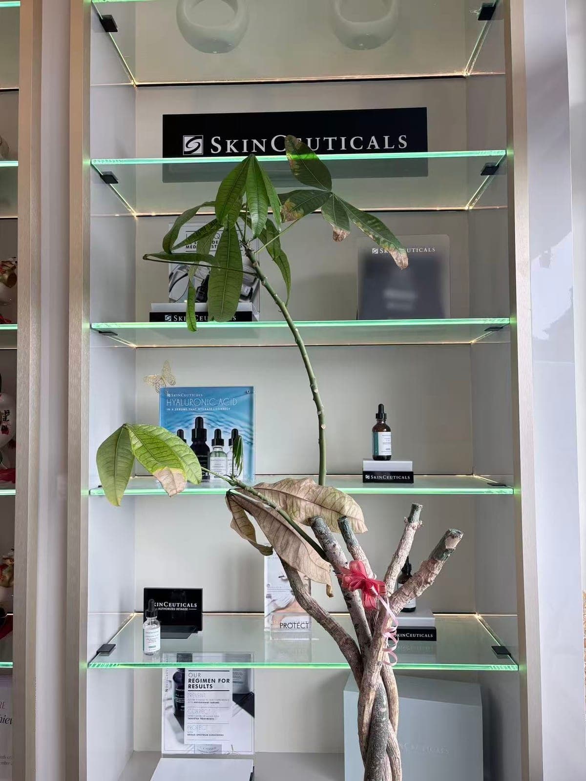 Beauty Brand Social Media: A Toronto Playbook That Works