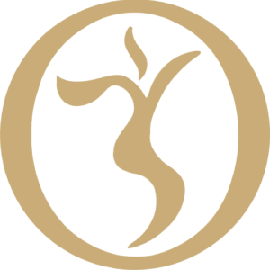 LAN Beauty logo